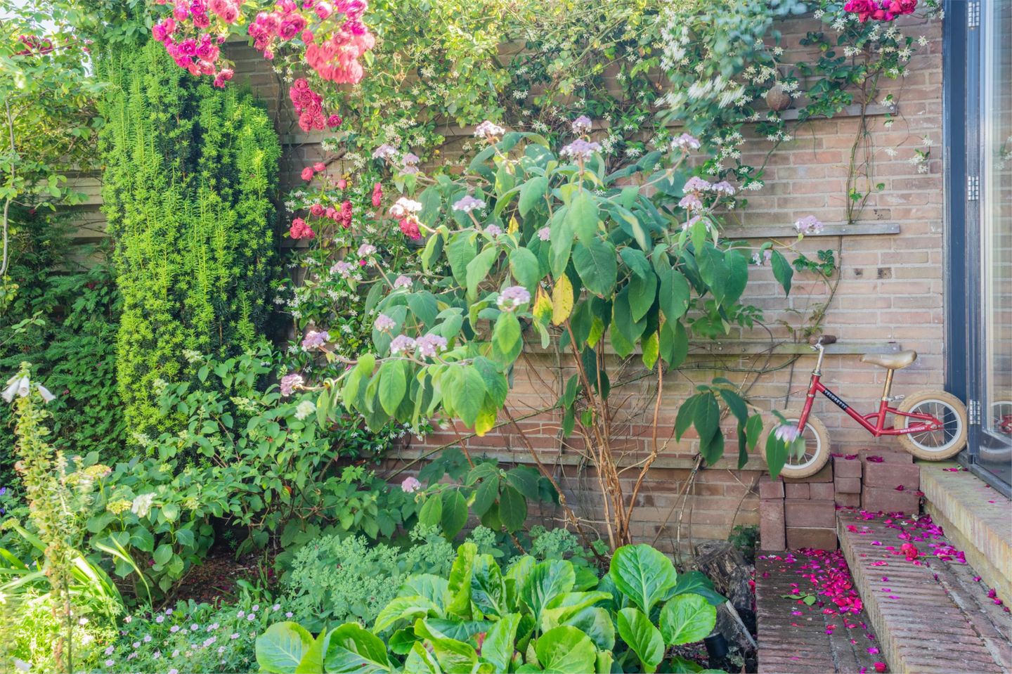 Foto 50 van Michiel de Ruyterstraat 23