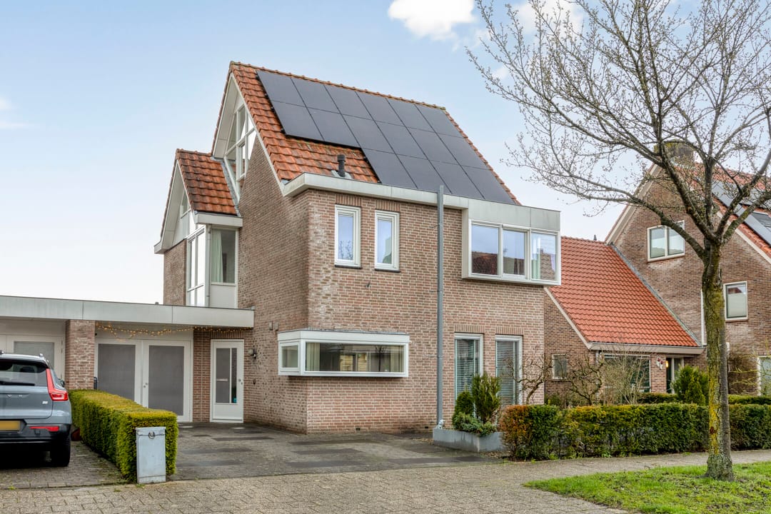 Photo 38 of Groene Specht 14