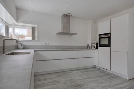 Groene Specht 14 tertiary image