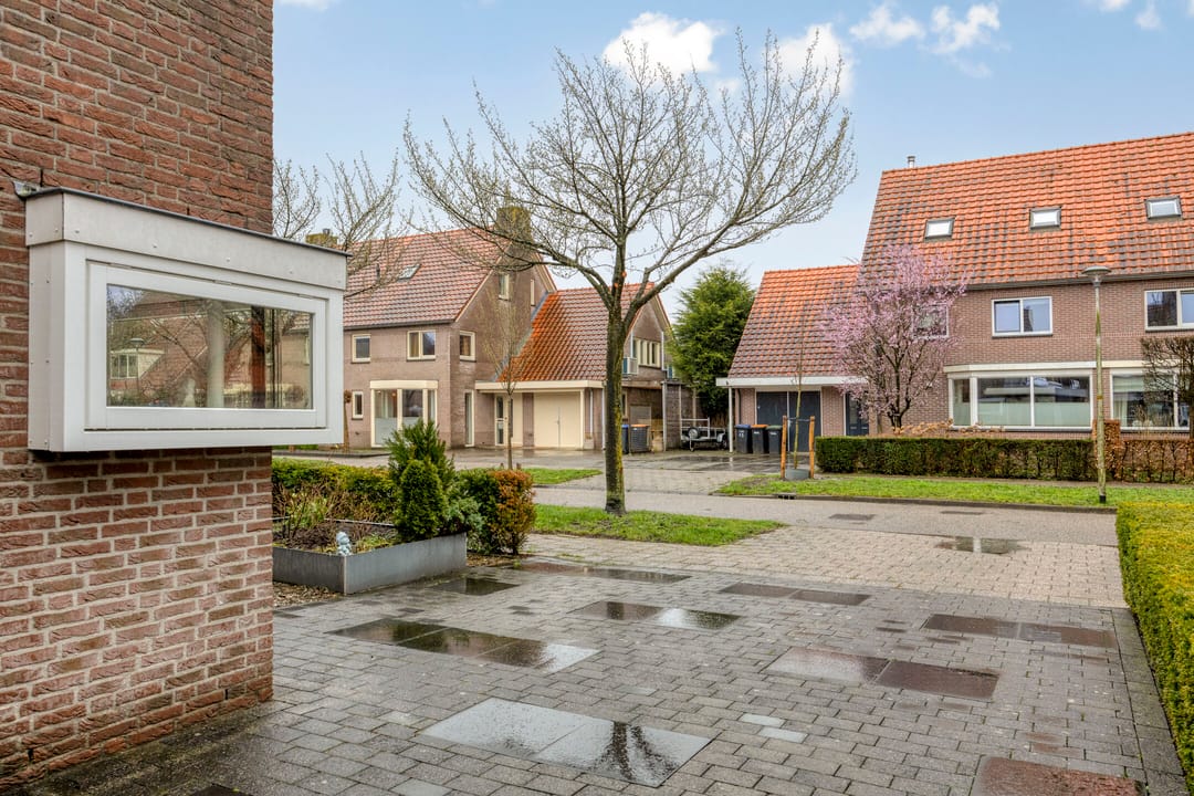 Photo 37 of Groene Specht 14