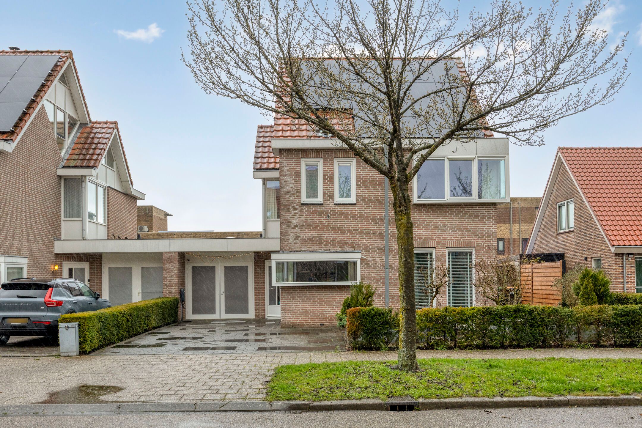 Photo 39 of Groene Specht 14