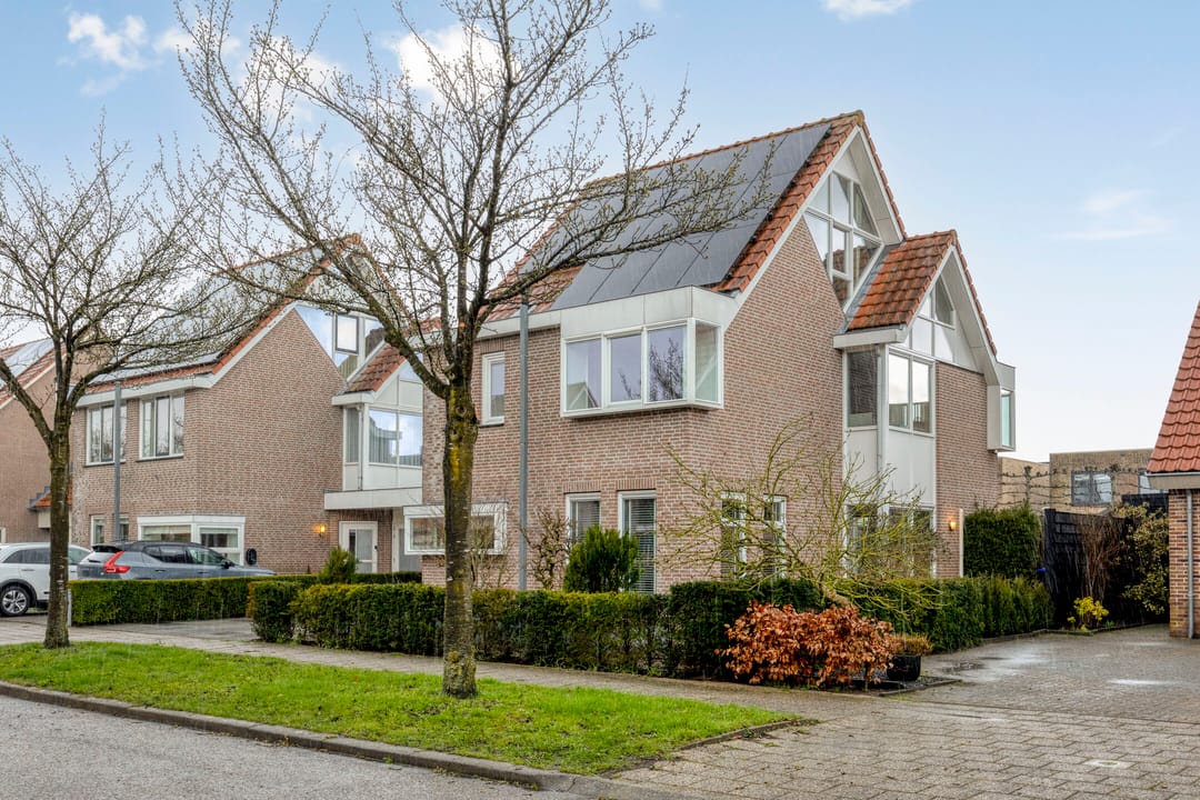 Photo 41 of Groene Specht 14