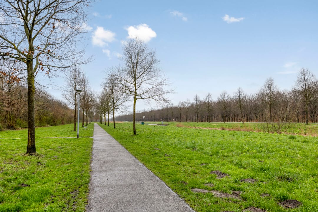 Photo 47 of Groene Specht 14