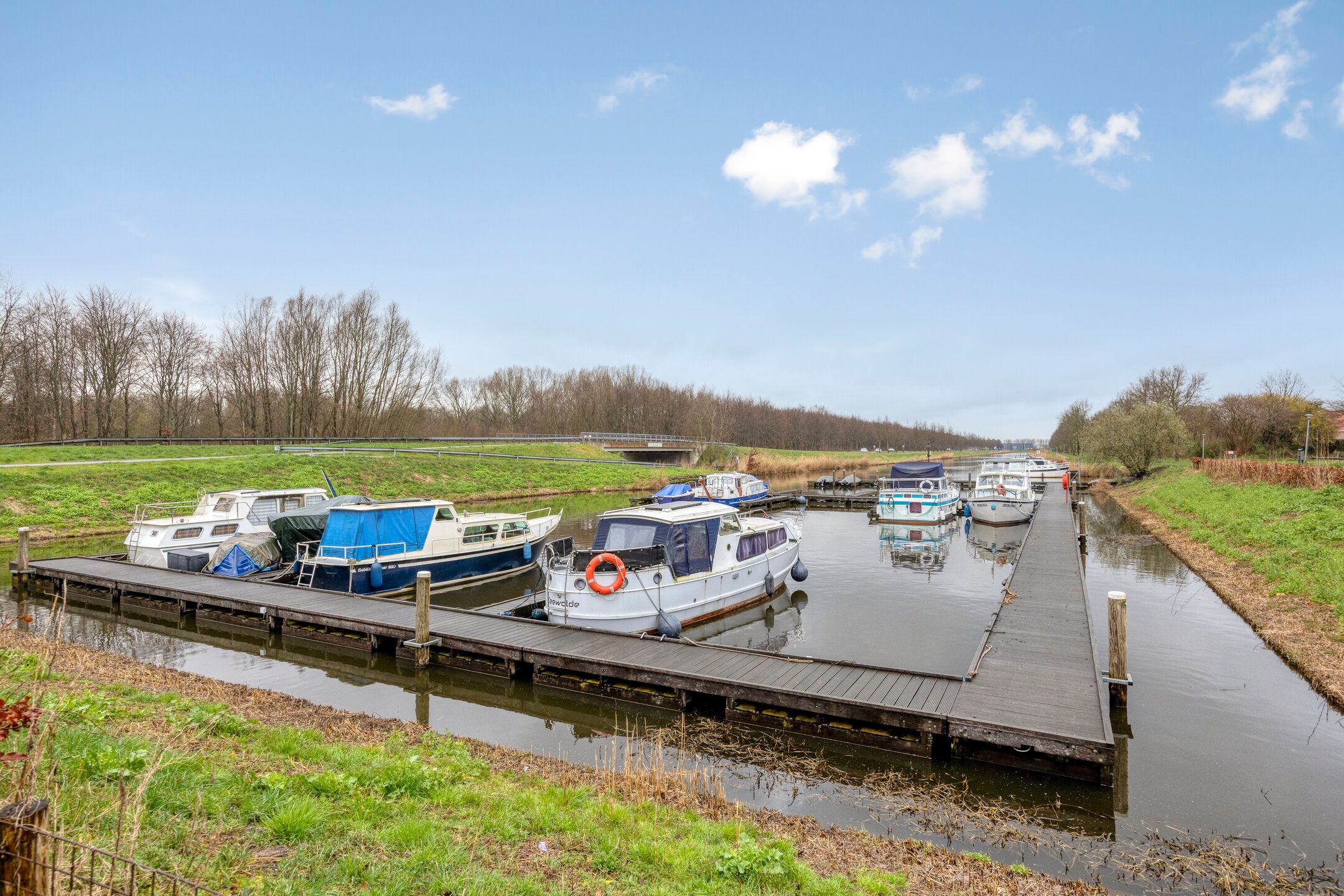 Photo 48 of Groene Specht 14