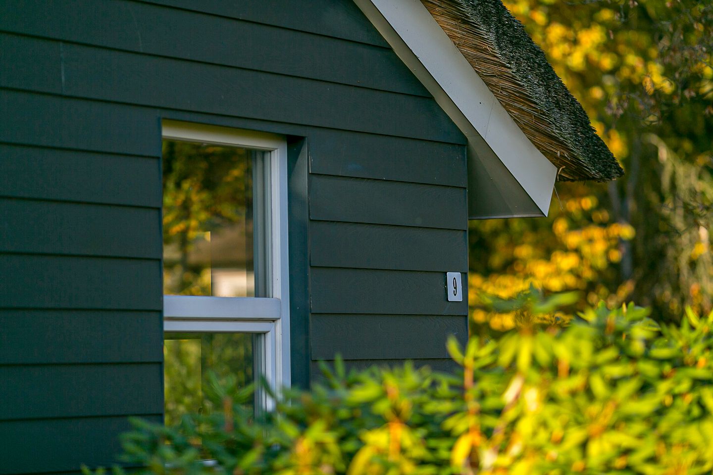 Foto 34 van Rading 2-A09