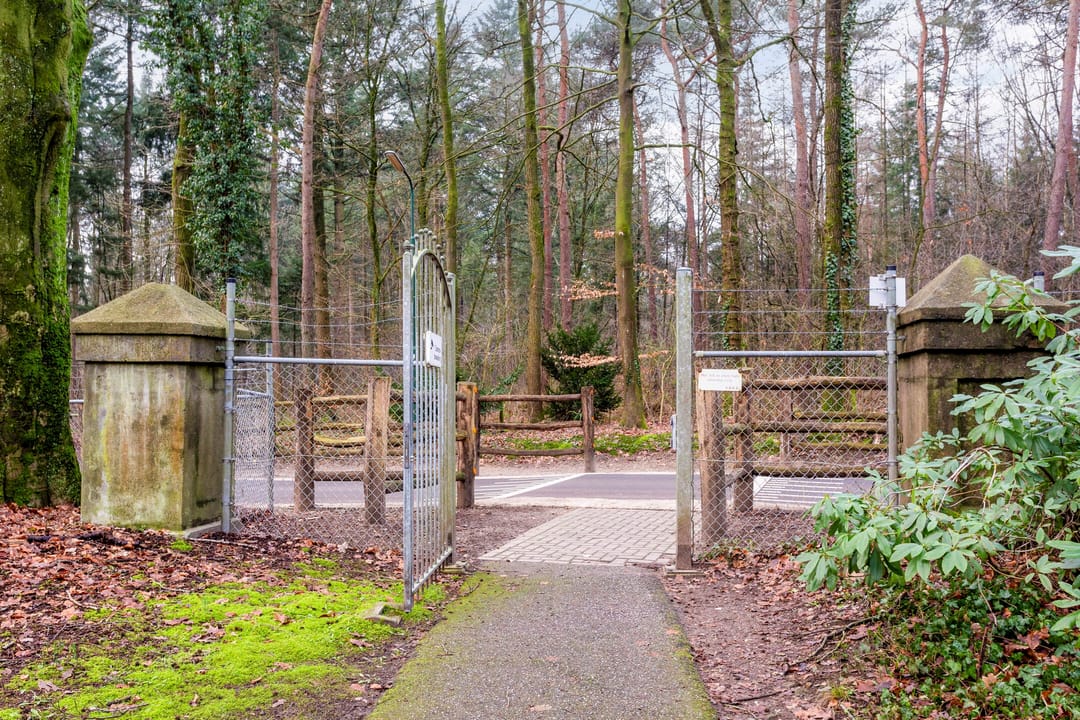 Photo 31 of Rhenendael 68