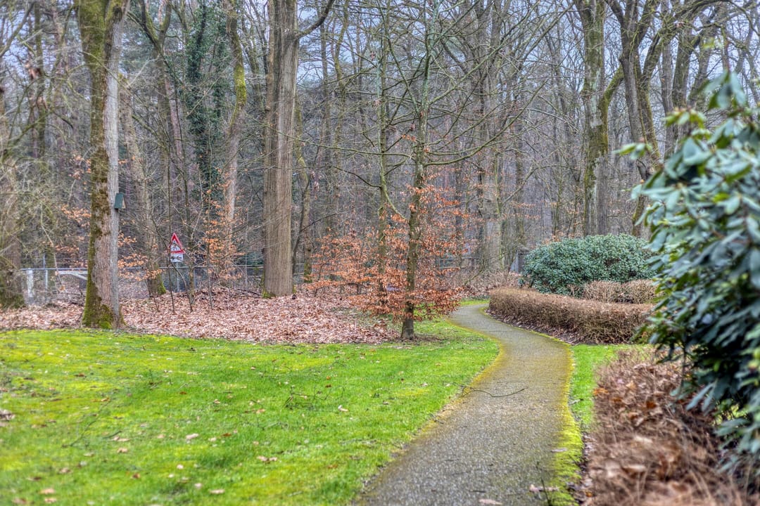 Photo 22 of Rhenendael 68