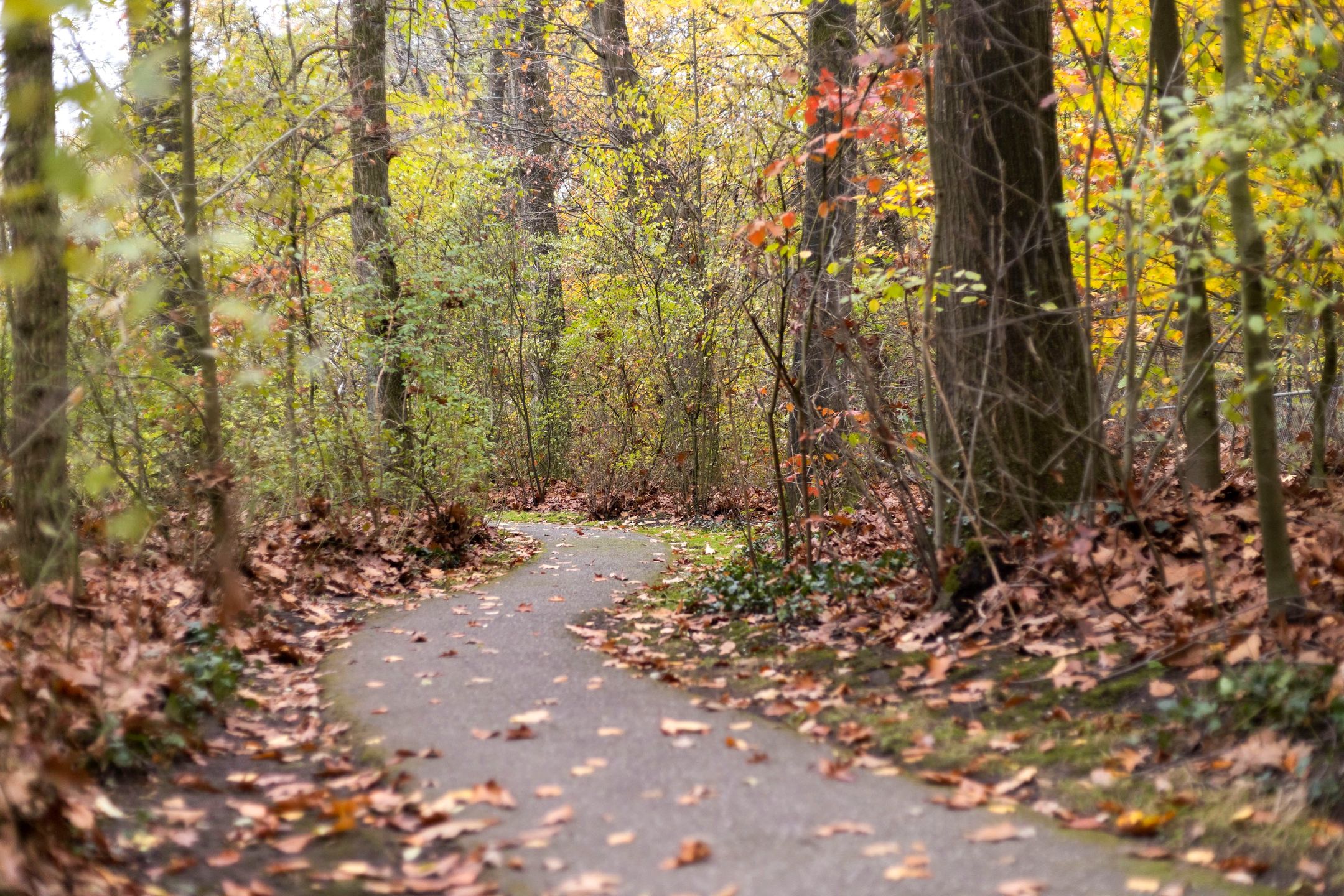 Photo 30 of Rhenendael 68