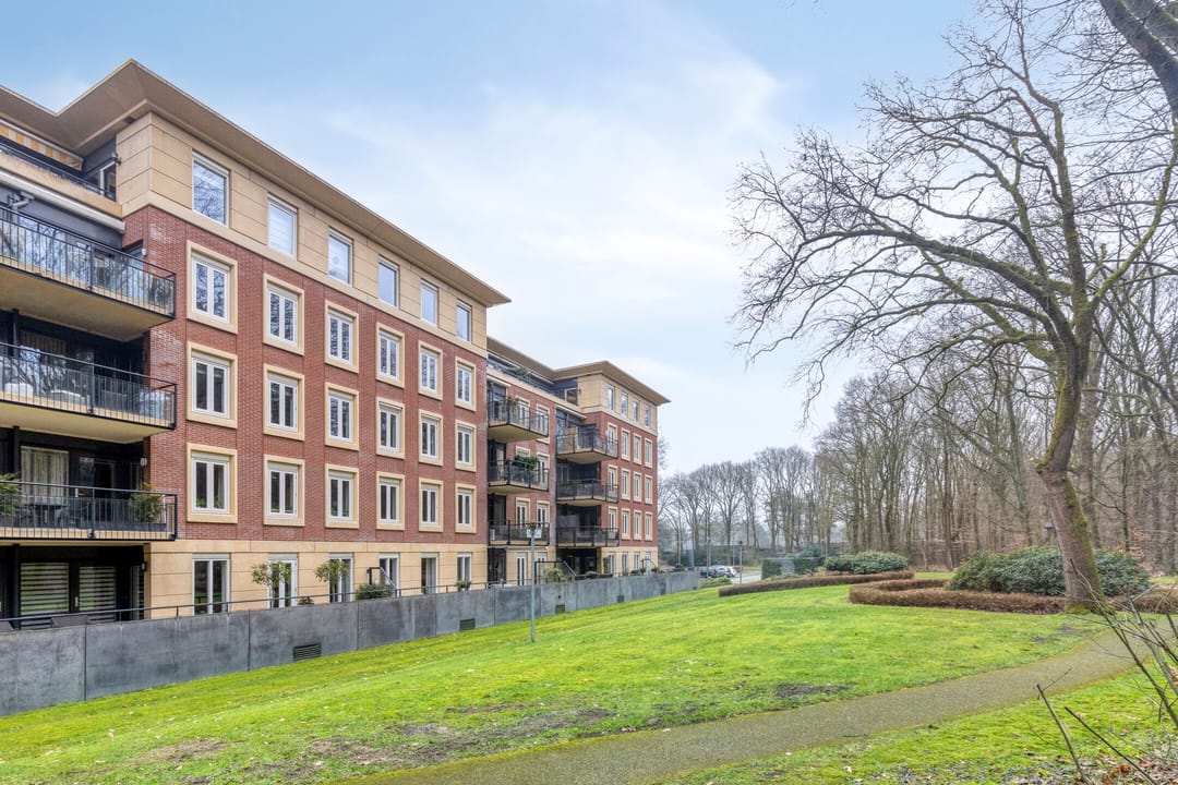 Photo 37 of Rhenendael 68