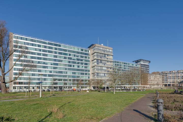 Bos en Lommerplantsoen 43 D