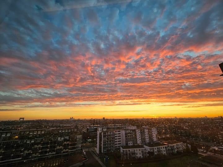 Foto 4 van Bos en Lommerplantsoen 43-D