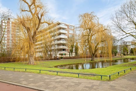 Wilgenplaslaan thumbnail