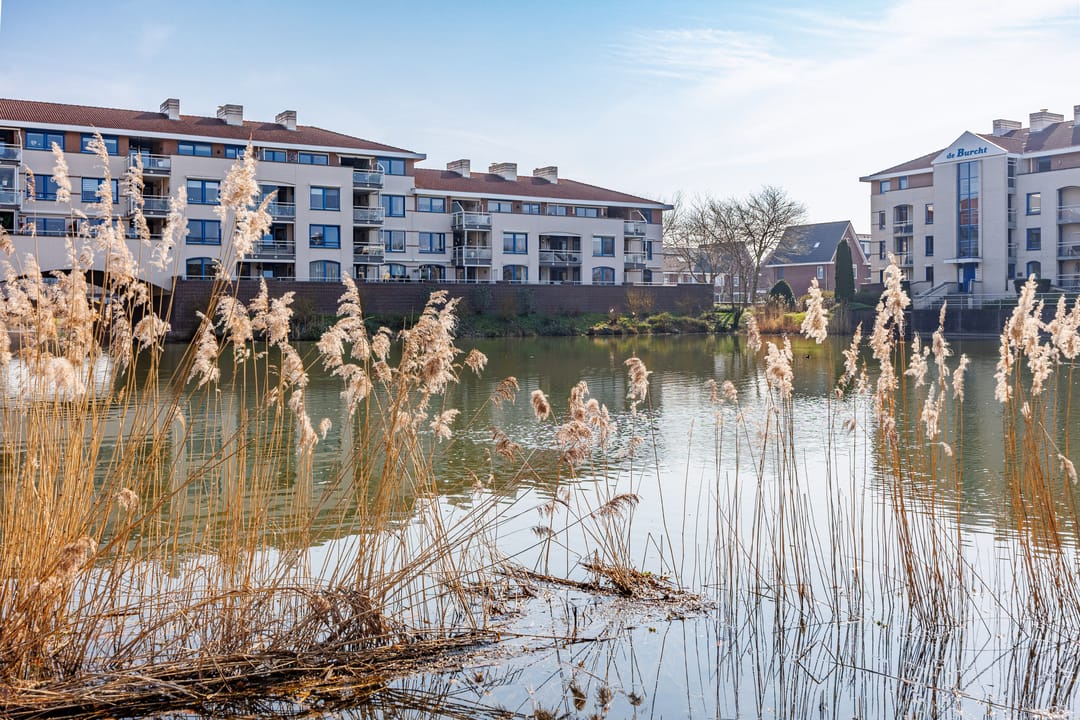 Photo 2 of Waterdorp 48