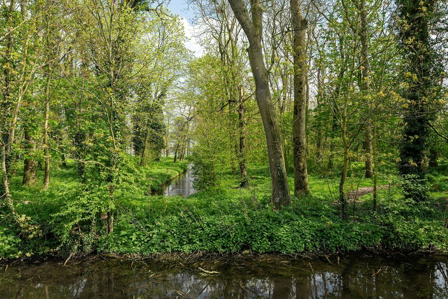 Photo 65 of De Finne 7