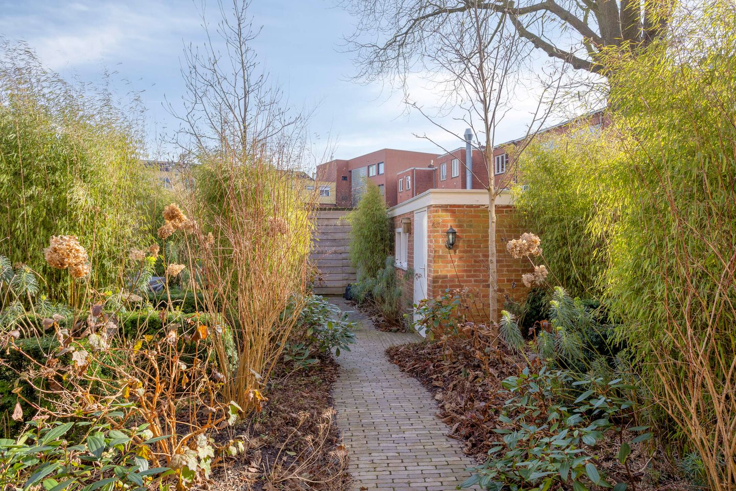 Photo 44 of Petrus Campersingel 151