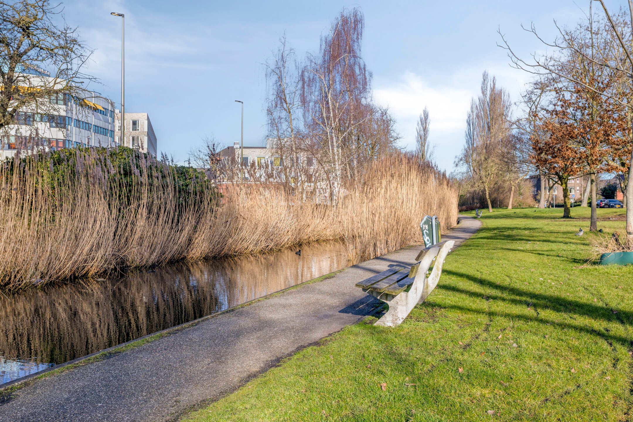 Photo 48 of Petrus Campersingel 151