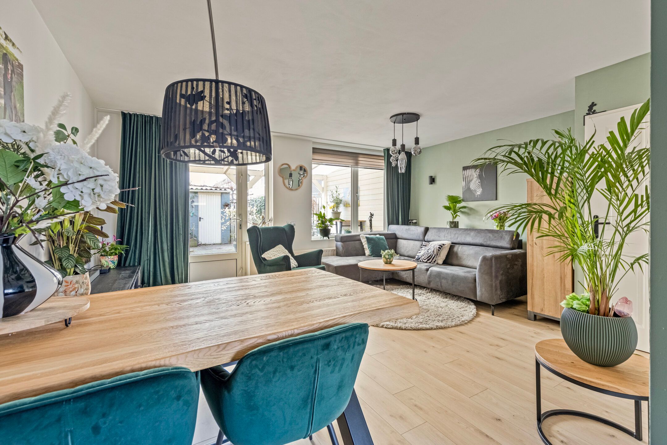 Photo 9 of Zesbunder 50