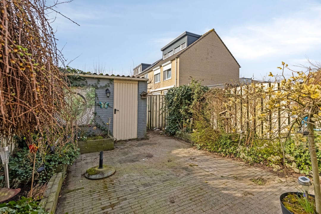 Photo 22 of Zesbunder 50