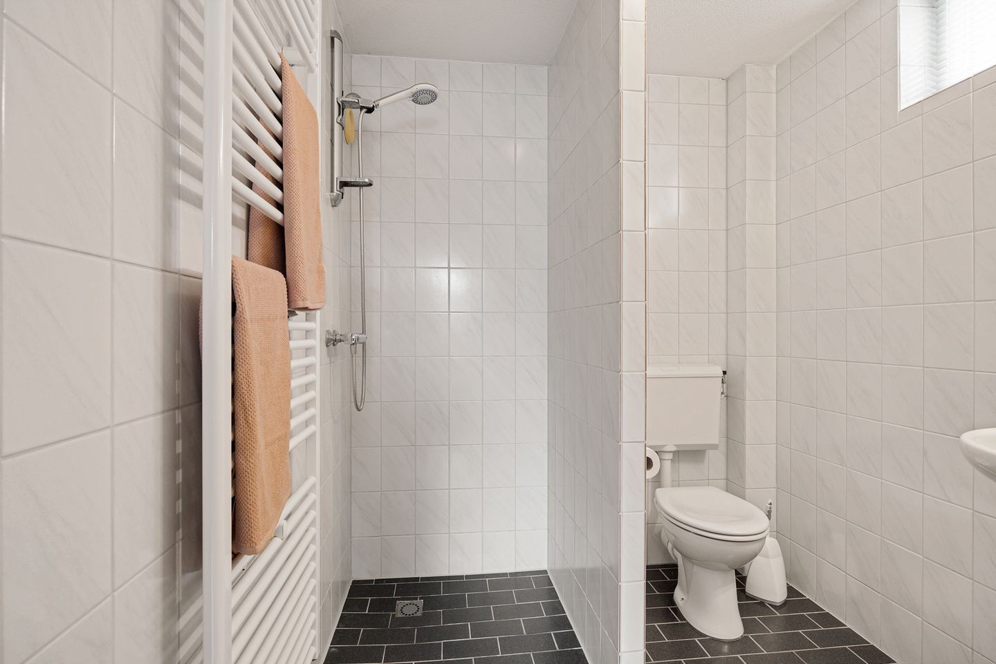 Foto 25 van Steenuil 94