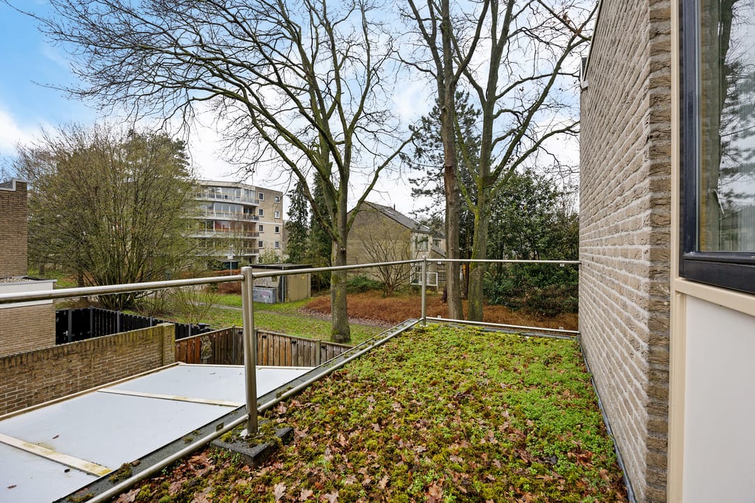 Foto 31 van Steenuil 94