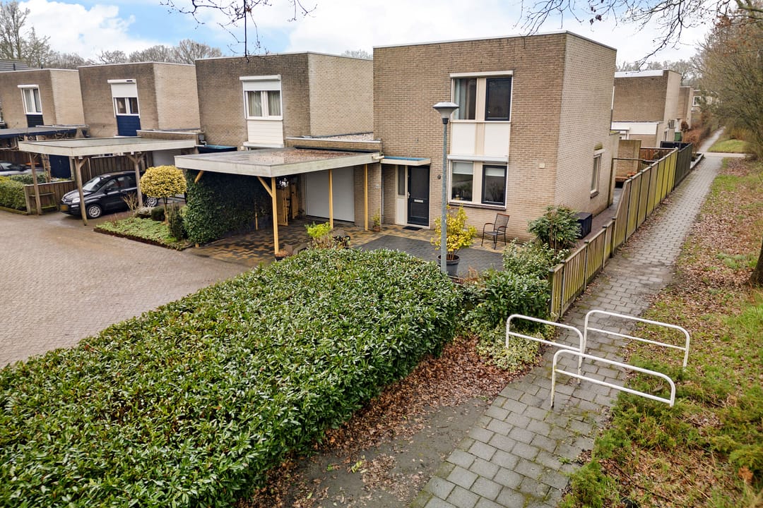 Foto 47 van Steenuil 94