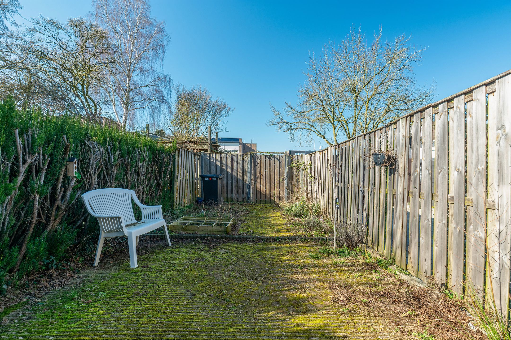 Photo 15 of Daniël-Eik 18