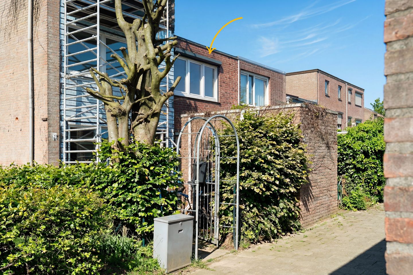 Photo 19 of Daniël-Eik 18