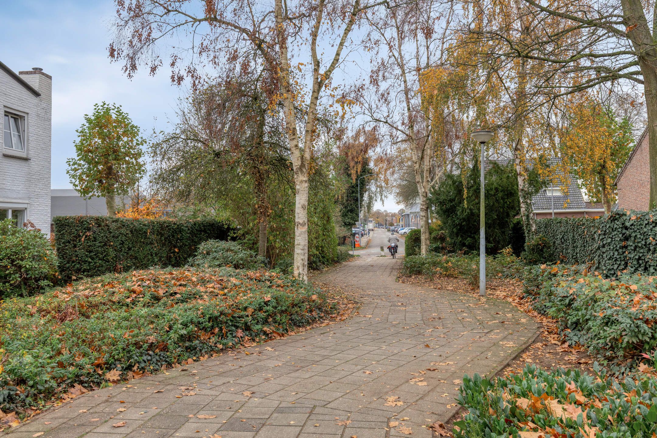 Photo 42 of Dierenriem 42 A3