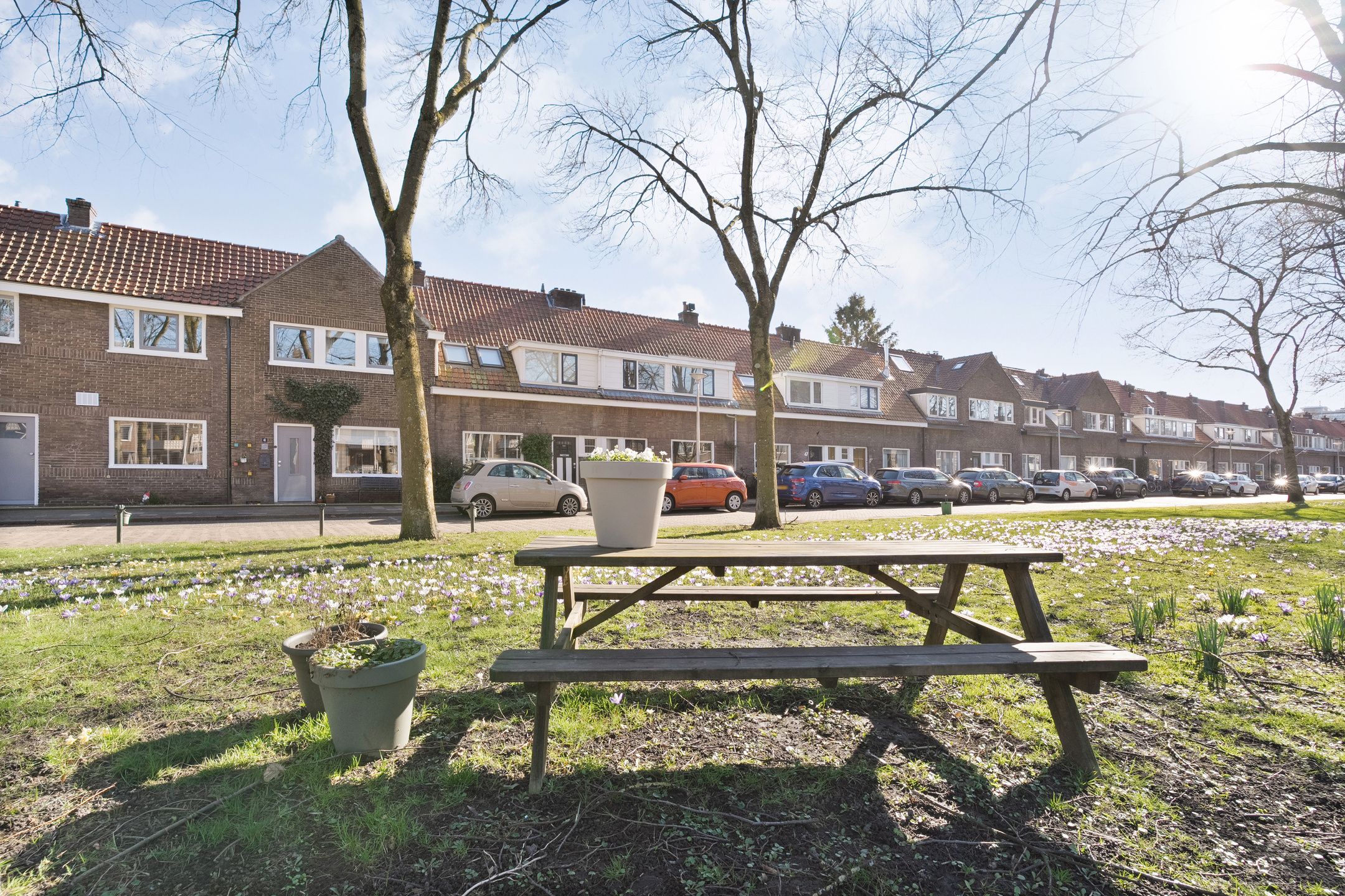 Foto 3 van Hanekamp 41