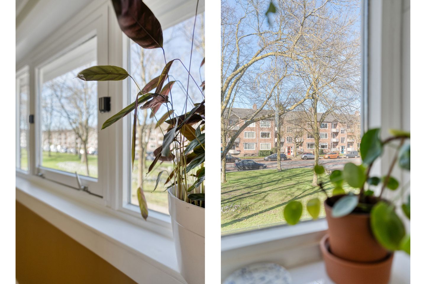 Foto 19 van Hanekamp 41