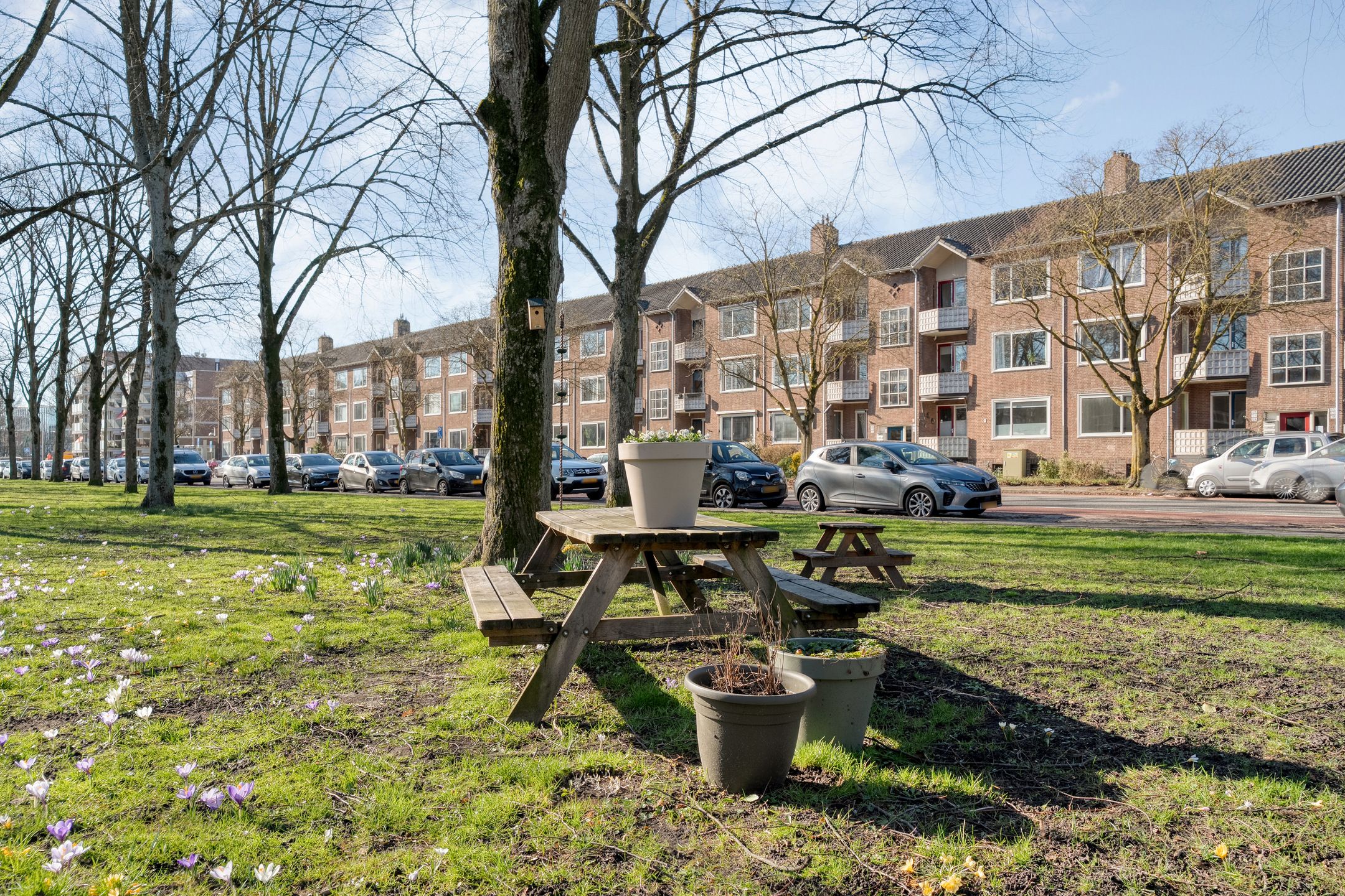 Foto 36 van Hanekamp 41