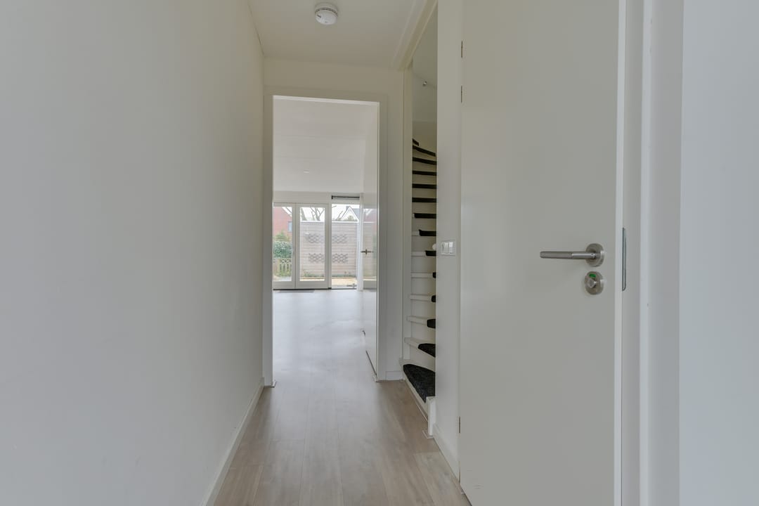 Foto 13 van Vogelkers 14