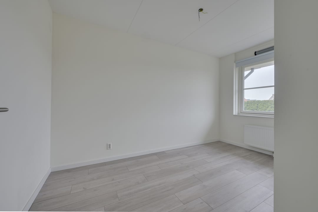 Foto 23 van Vogelkers 14