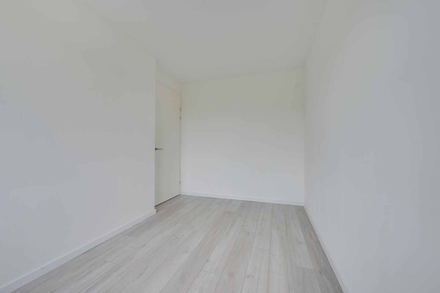 Foto 25 van Vogelkers 14