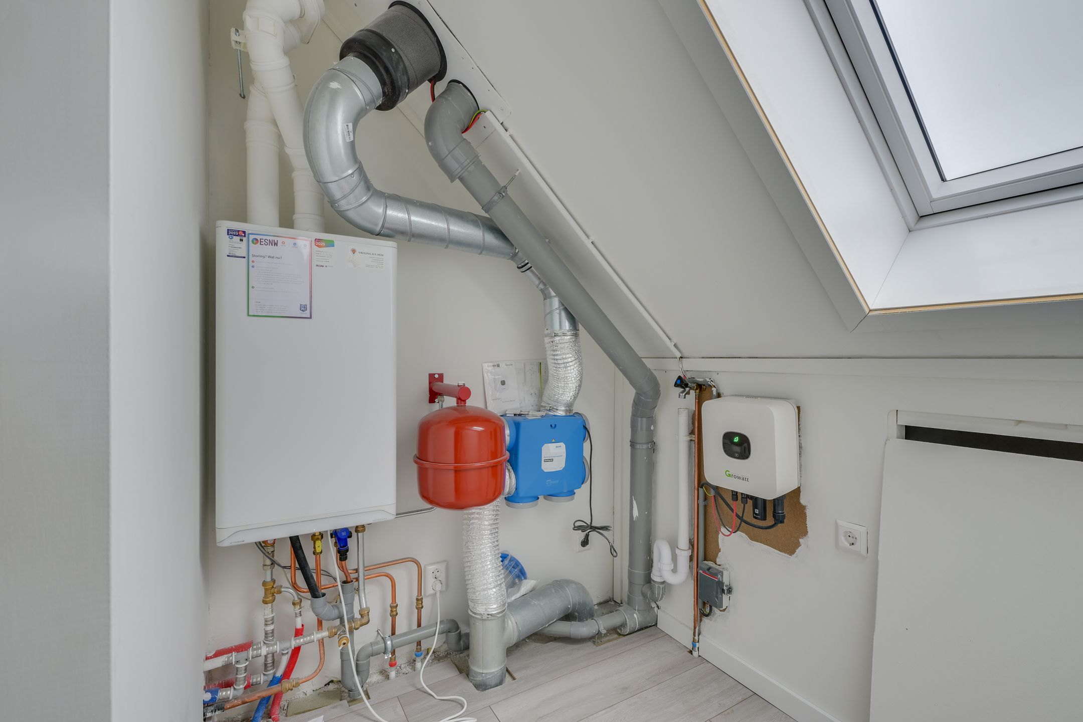 Foto 30 van Vogelkers 14