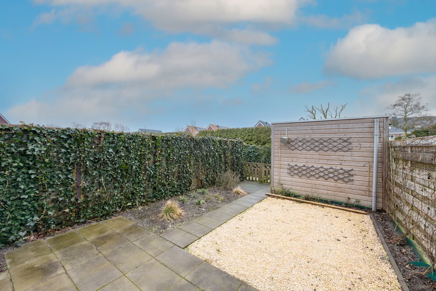 Foto 35 van Vogelkers 14