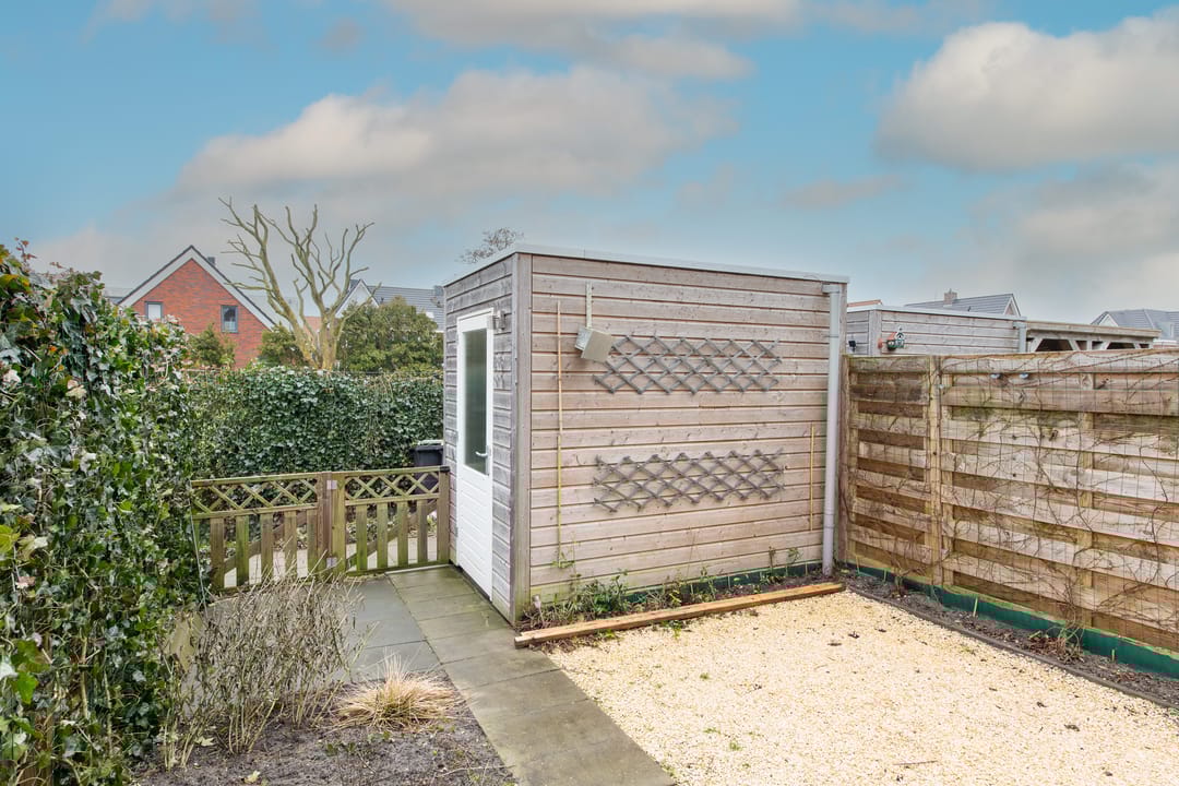 Foto 37 van Vogelkers 14