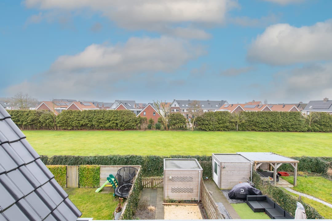 Foto 38 van Vogelkers 14