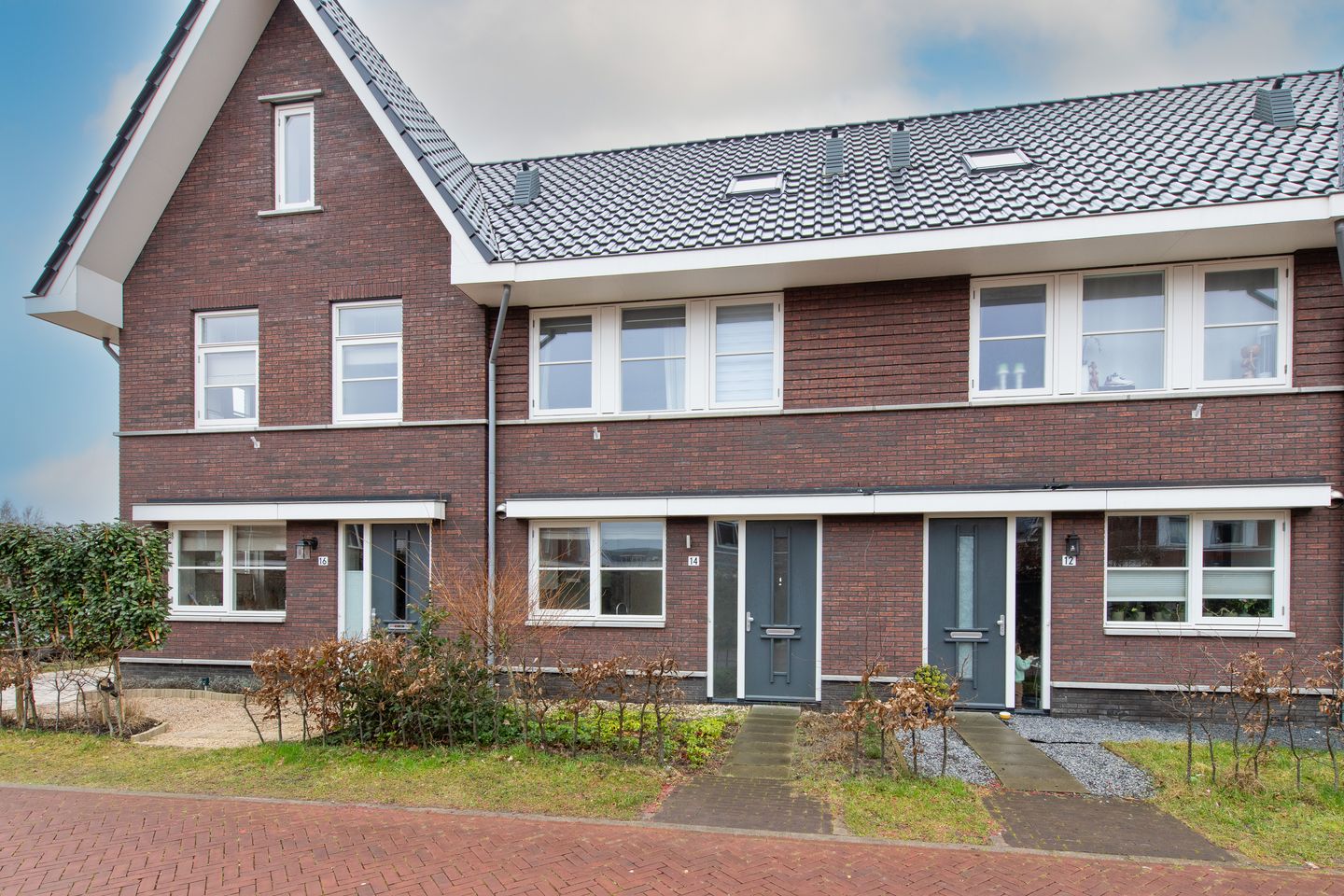 Foto 40 van Vogelkers 14