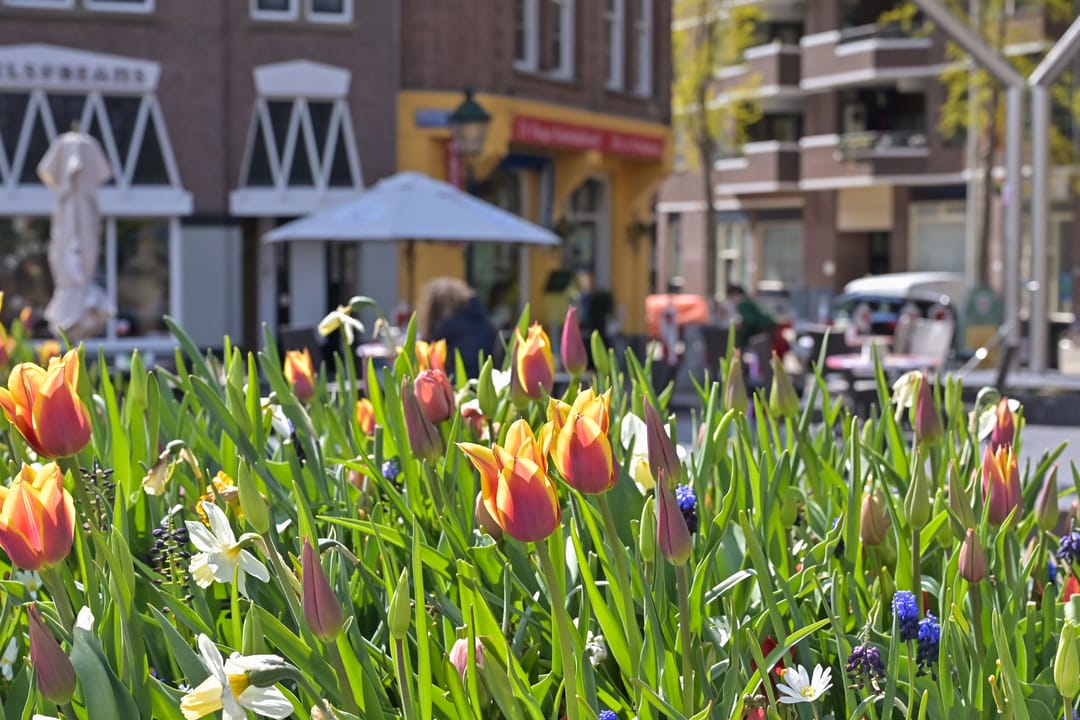 Foto 37 van De Ruijterstraat 86