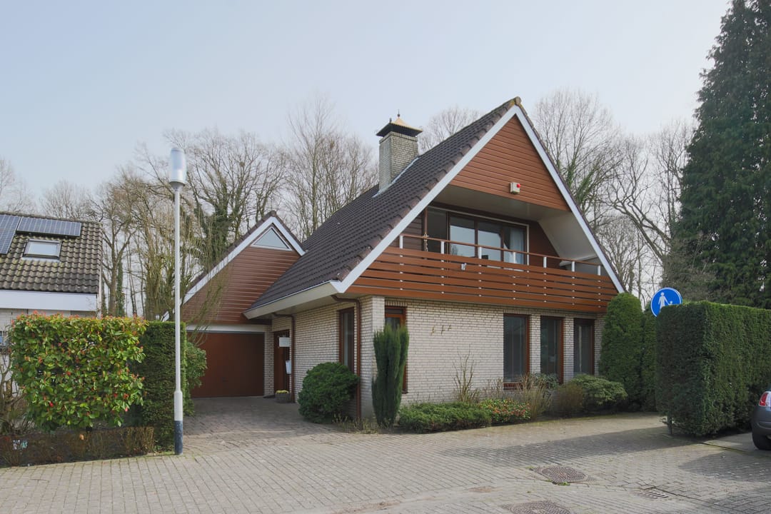 Photo 1 of Stormvogel 18