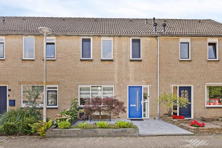 Foto 2 van Willem Klooshof 21