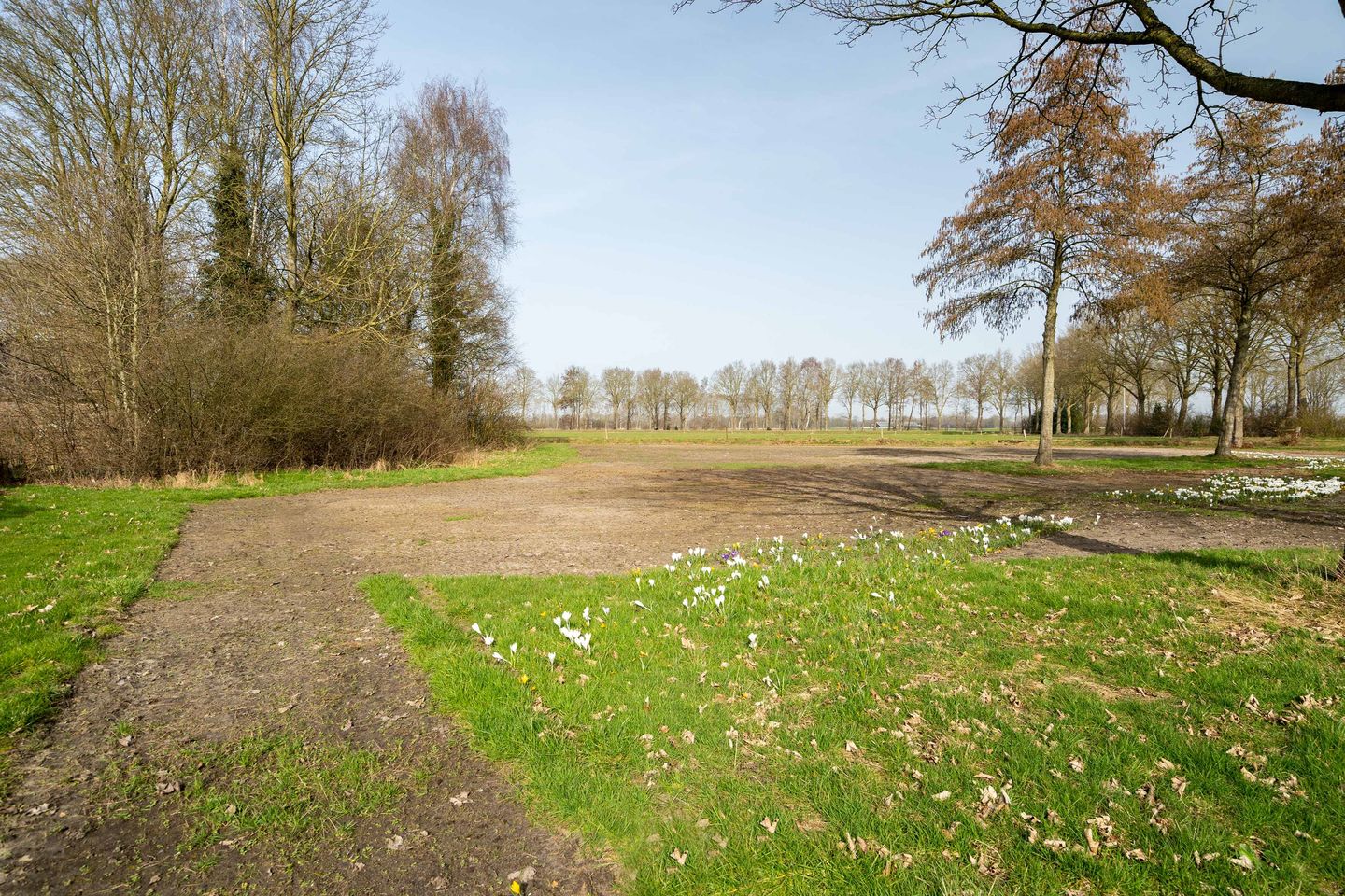 Photo 29 of W Jaasmasingel 56