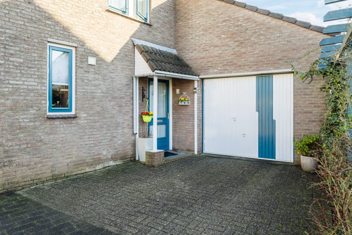 Photo 4 of Kleefkruid 23