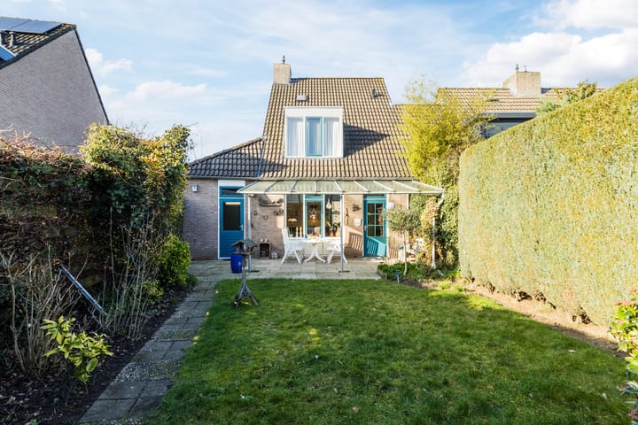 Photo 3 of Kleefkruid 23