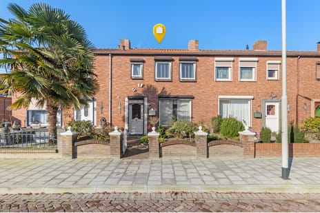 undefined main image