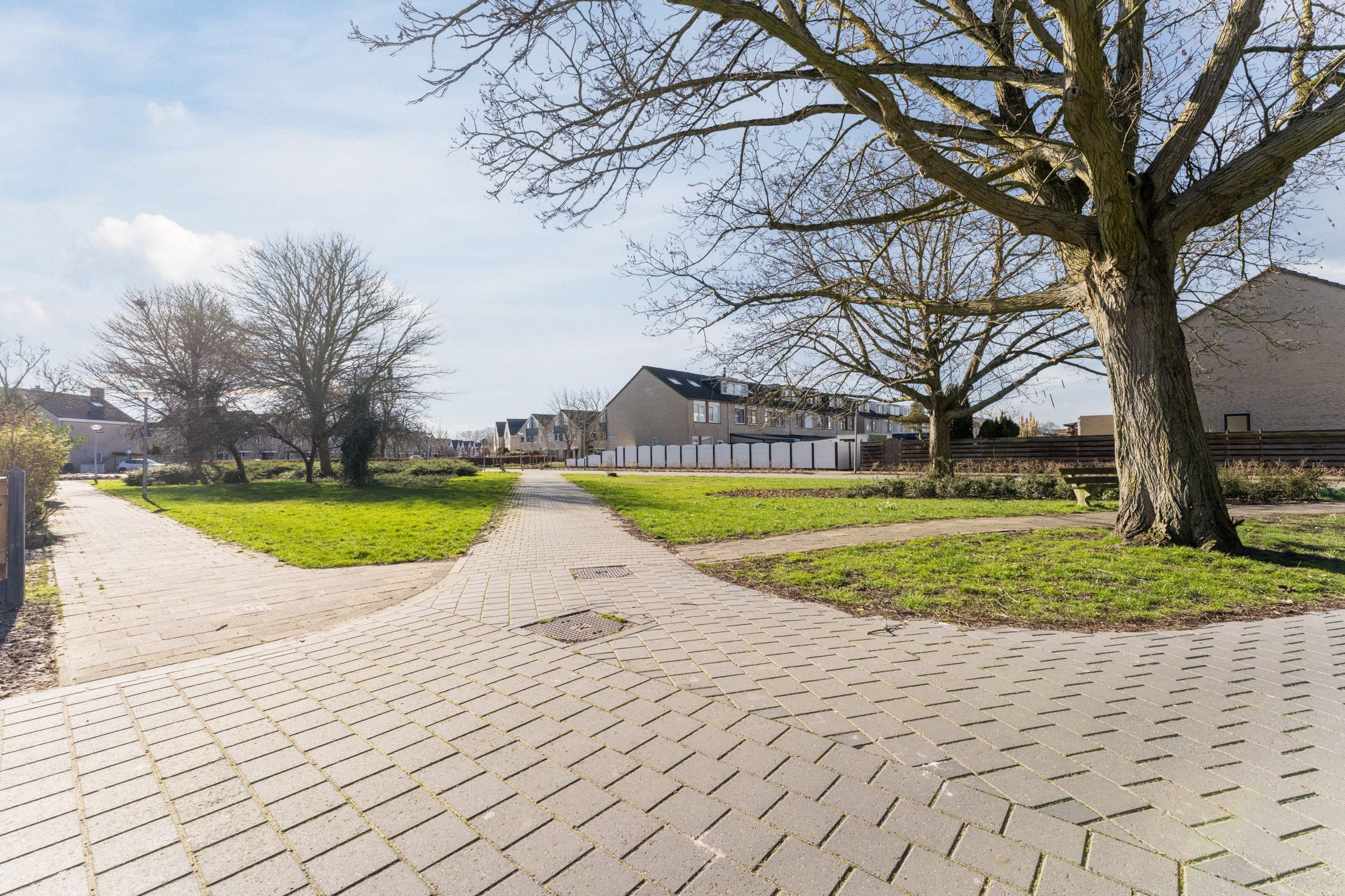 Foto 39 van Sibeliuspad 25