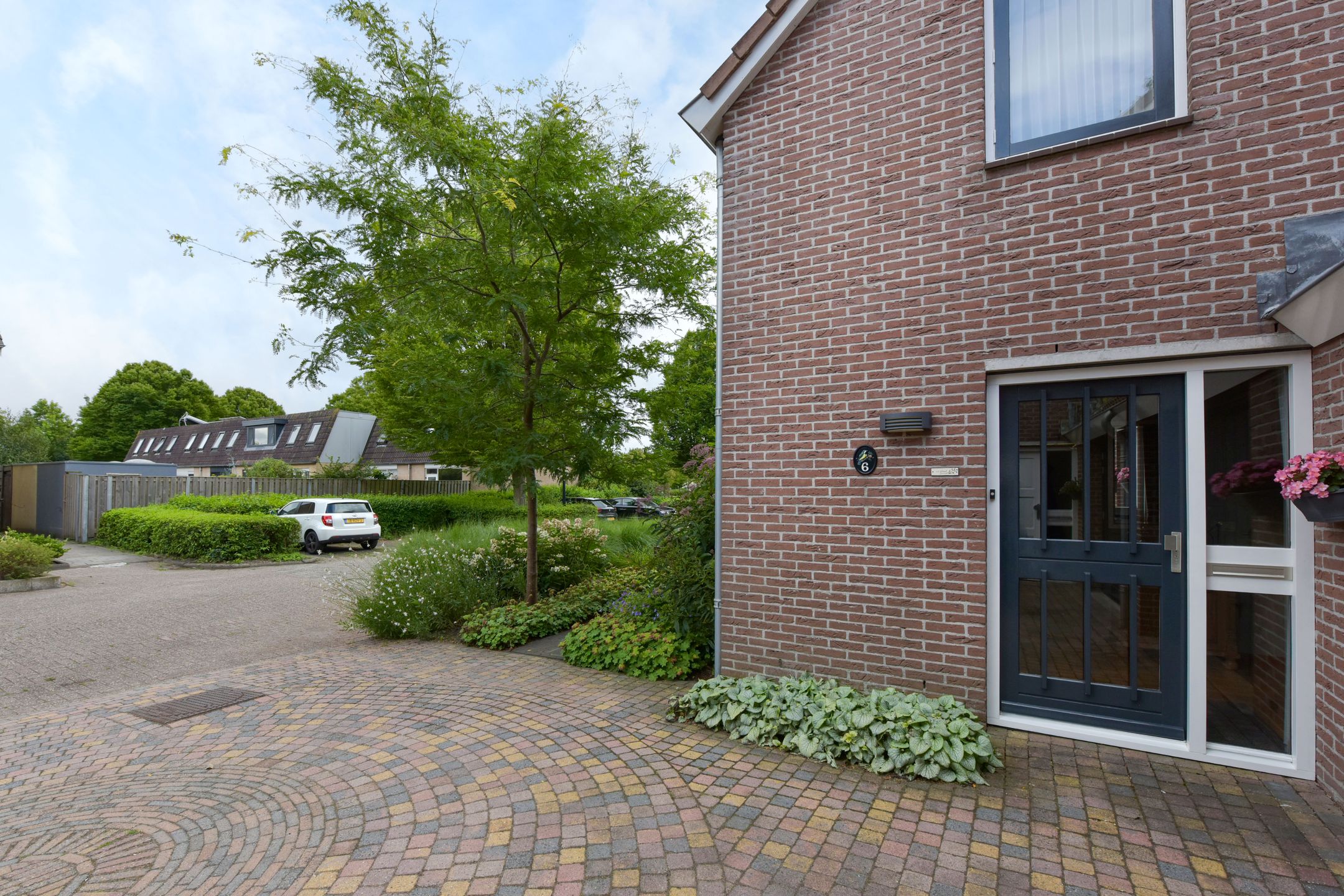 Foto 6 van Trilgras 6