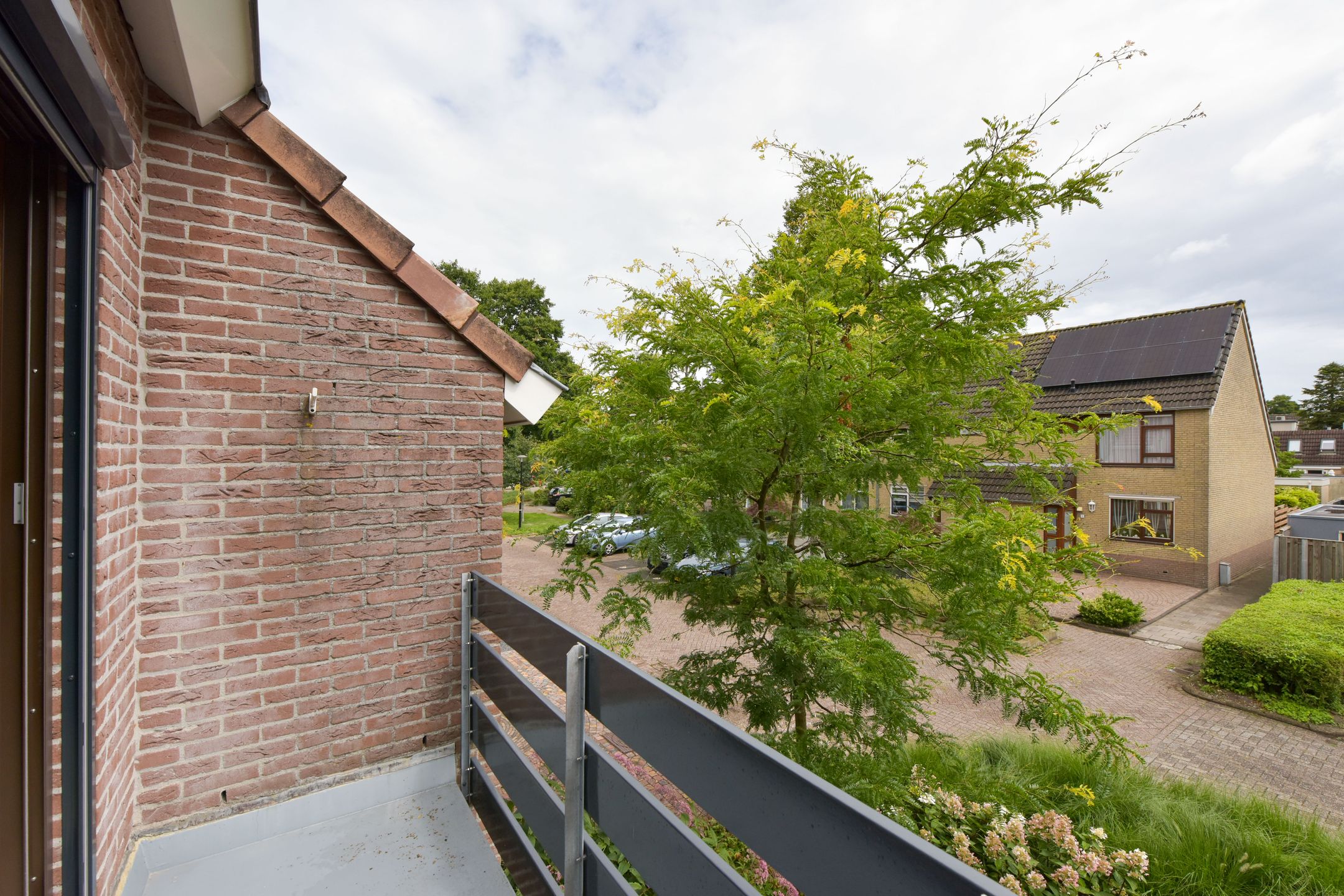 Foto 21 van Trilgras 6