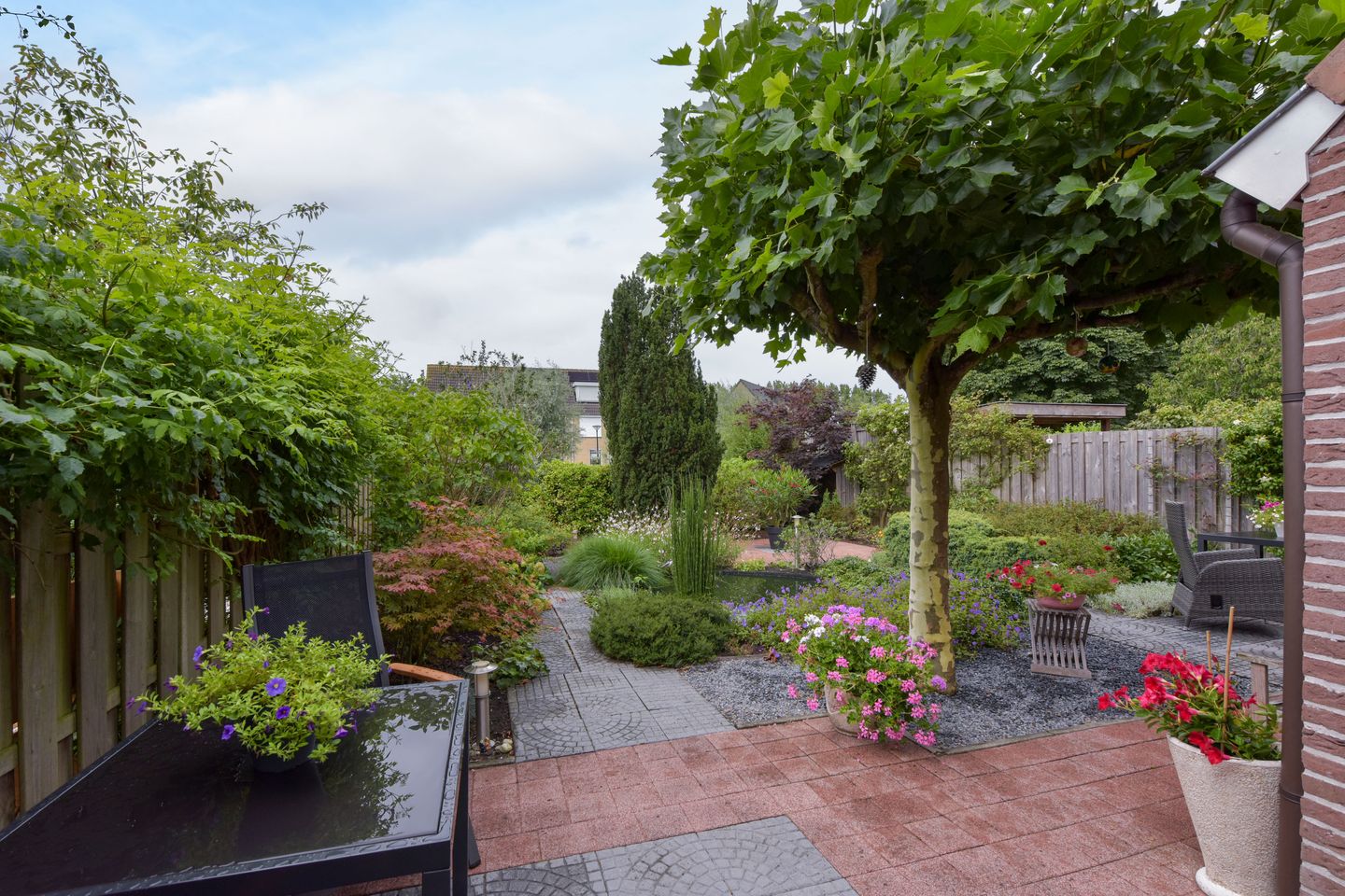 Foto 35 van Trilgras 6